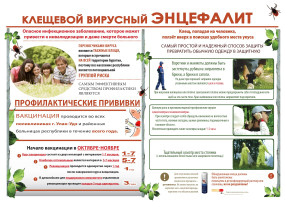 КАК ЗАЩИТИТЬ СЕБЯ ОТ КЛЕЩЕВОГО ВИРУСНОГО ЭНЦЕФАЛИТА КАК ЗАЩИТИТЬ СЕБЯ ОТ КЛЕЩЕВОГО ВИРУСНОГО ЭНЦЕФАЛИТА.