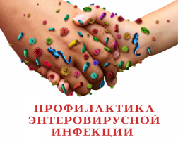 Профилактика энтеровируса Профилактика энтеровируса.