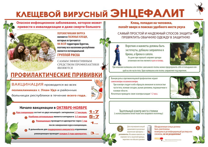 КАК ЗАЩИТИТЬ СЕБЯ ОТ КЛЕЩЕВОГО ВИРУСНОГО ЭНЦЕФАЛИТА КАК ЗАЩИТИТЬ СЕБЯ ОТ КЛЕЩЕВОГО ВИРУСНОГО ЭНЦЕФАЛИТА.